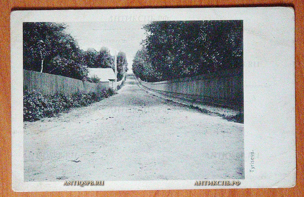 Открытка старинная "Tyrisevä". Ушково. Тюрисевя. Нач. ХХ века. Россия. №5667